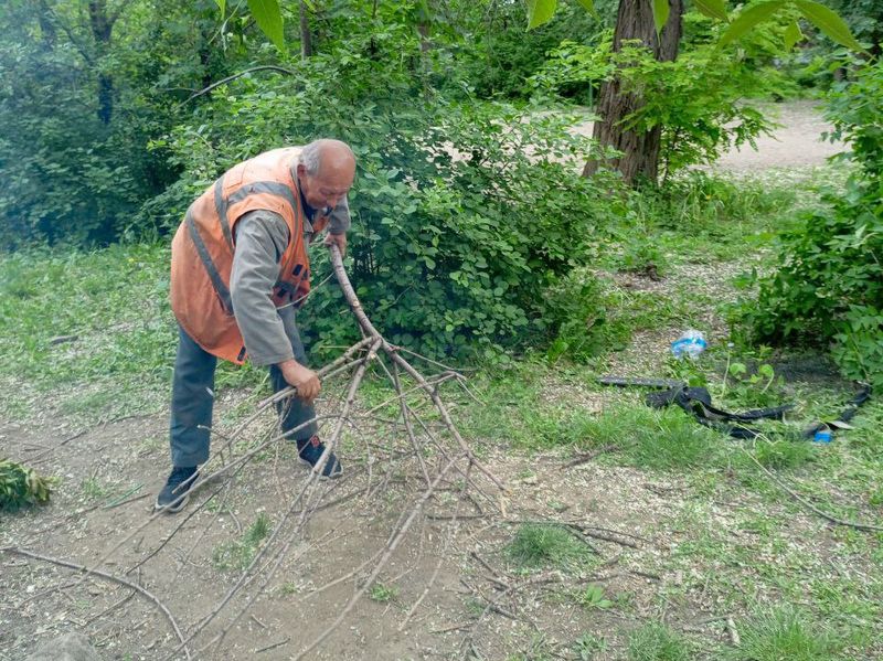 Муниципальными унитарными предприятиями городского округа Енакиево выполнена работа по уборке придомовых территорий.