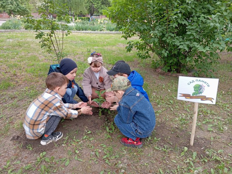Дошкольники города Енакиево участвуют в акции «Сад памяти».