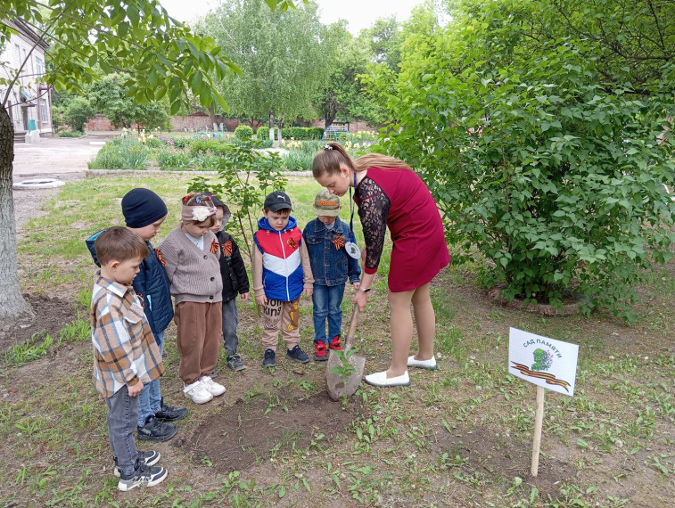 Дошкольники города Енакиево участвуют в акции «Сад памяти».