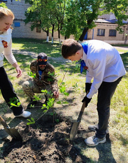 Представители государственного фонда «Защитники Отечества» и обучающиеся школы № 7 города Енакиево высадили деревья в рамках акции «Сад памяти».