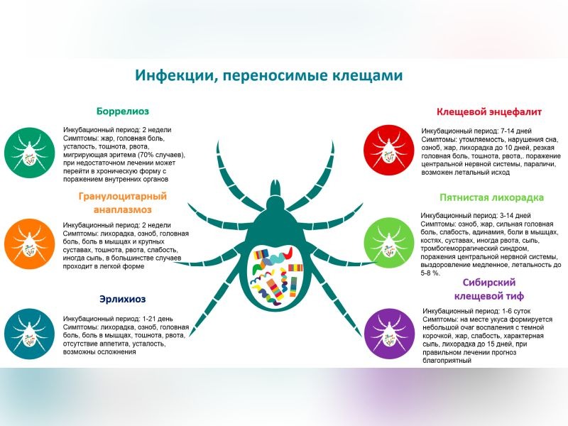 Вниманию жителей городского округа Енакиево.